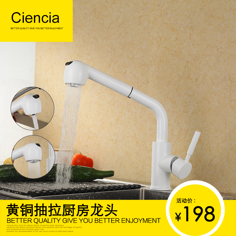 Copper double water outlet hot and cold kitchen tap pull-out sink tap dishwashing pool washbasin can swivel tap