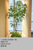 Установить комбинацию пять