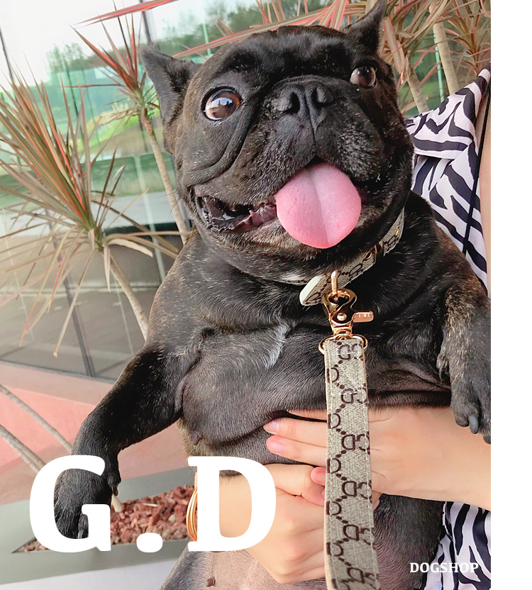 Pet chó xích chó nhỏ mèo pháp luật chiến đấu cổ áo thương hiệu thời trang Teddy Schnauzer và hộp quà tặng phổ quát khác - Cat / Dog hàng ngày Neccessities Khay thức ăn cho mèo