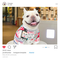 Fardou clothes puppies Bagbrother T-shirt Pets Spring and autumn New products Antistatic cannot afford a ball jacket more than a bear teddy chai dog