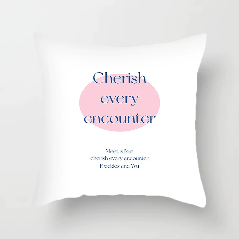 Summer cartoon pillow, pillowcase, sofa for sleep, Birthday gift