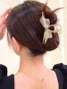 Mesh Hair Clip for Women, Summer Shark Clip for the Back of the Head, Trendy Hair Accessory, Elegant Bow Hair Clip