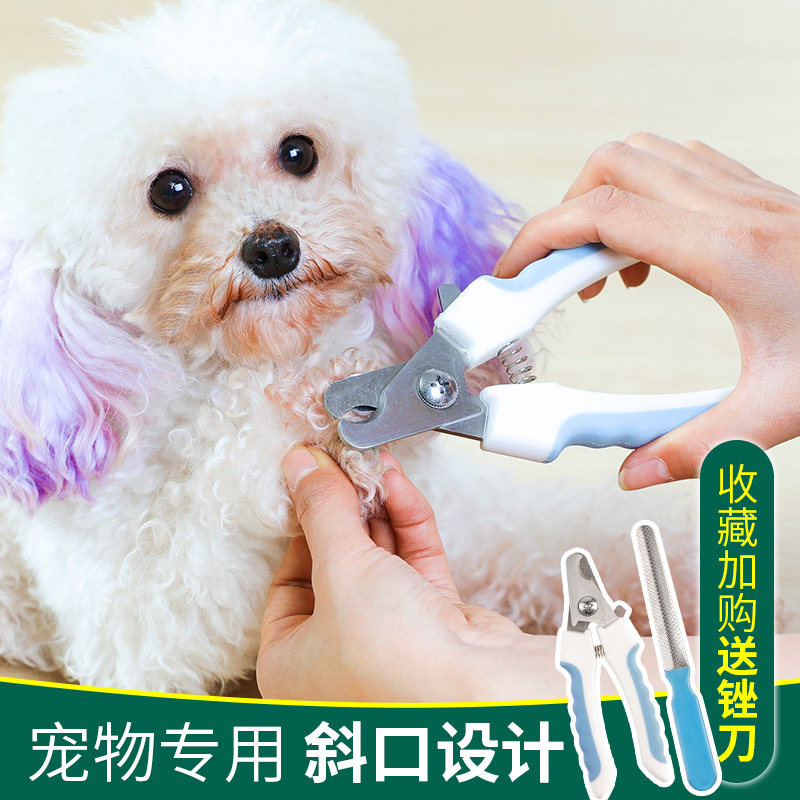 Puppy Supplies Dogs Cat Fingernail Clippers Nail Clippers Teddy Small Dog Nail Clippers Pet Nail Clippers