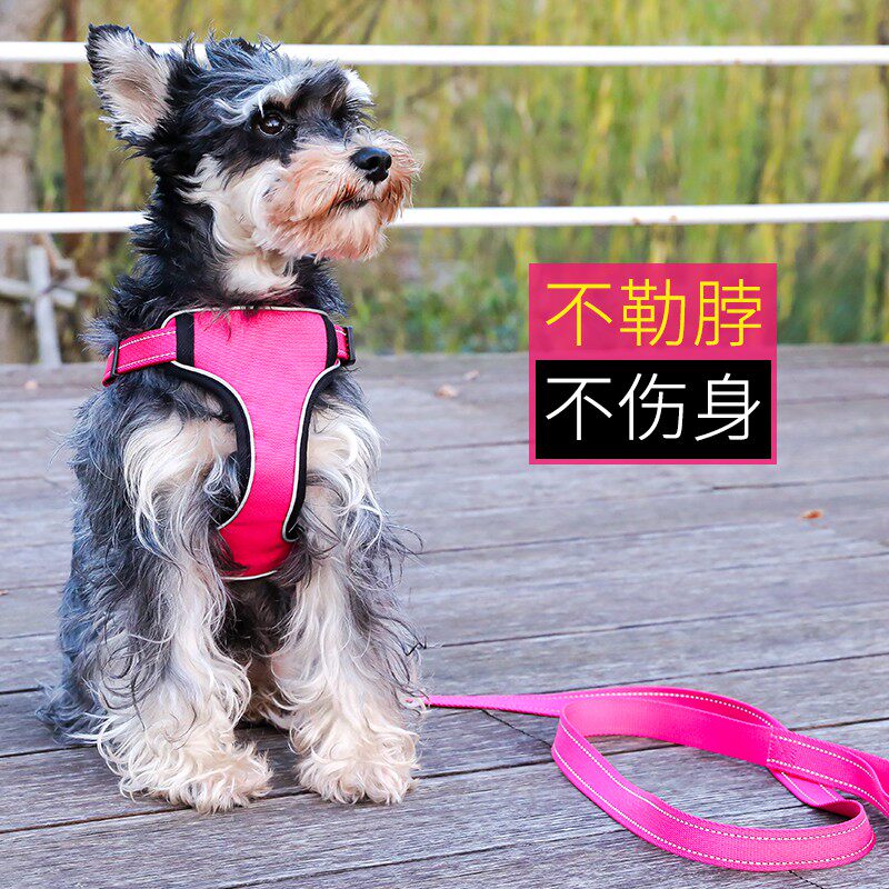 Dog Leash Dog Chain Backrest Dog Rope Small Dog Medium Large Teddy Pet Chest Baby Bag Supplies