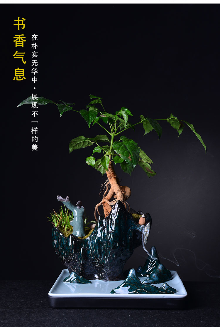 New Chinese style household furnishing articles combination bonsai rockery green plant large fleshy money plant bracketplant flowerpot ceramic landscape basin