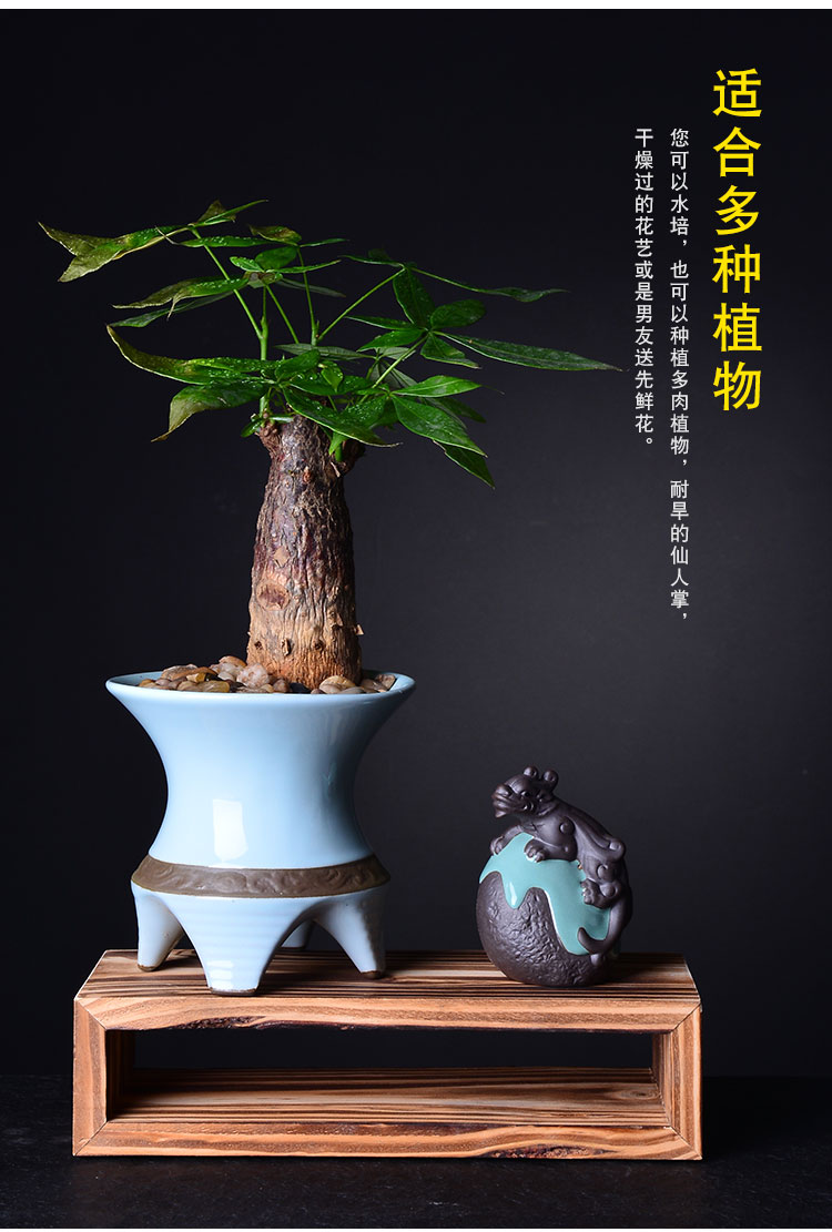 Combination of new Chinese style more creative ceramic flower pot meat asparagus rich tree green plant pot contracted bracketplant wholesale flower pot