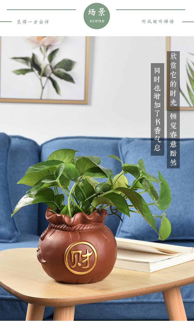 Money plant pot ceramic purple nonporous container hydroponic the plants copper bowl lotus lotus grass daffodils basin creative interior