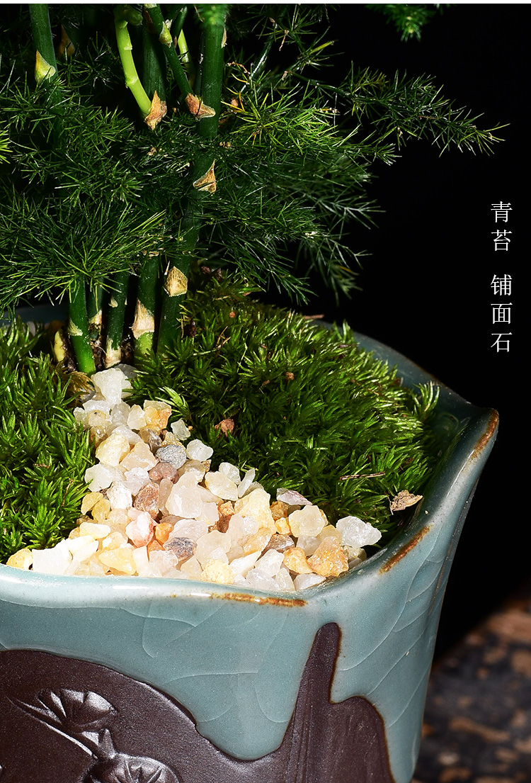 Creative Chinese style house flowerpot ceramic small home office desktop, the plants potted bonsai asparagus is special