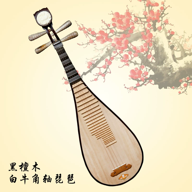 Cao cấp gỗ mun trắng trục kèn pipa nhạc cụ dân tộc gỗ mun pipa trục kèn pipa miễn phí - Nhạc cụ dân tộc