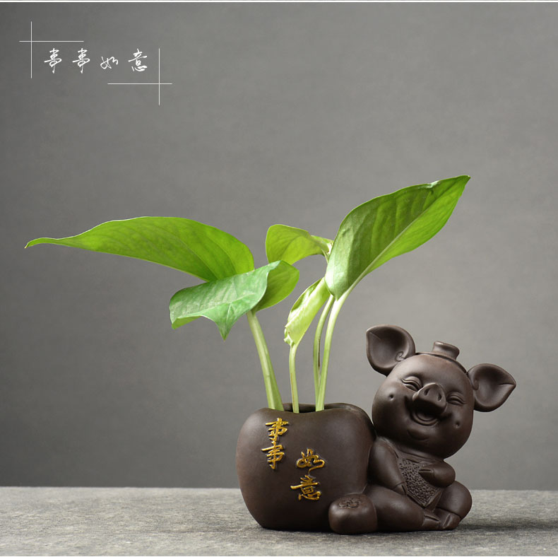 Sáng tạo nước thủy canh bình hoa chậu cây bình hoa Bình nước đựng đồ trang trí nhỏ trang trí nhà - Trang trí nội thất trang trí phòng khách nhà ống