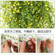 Simulated golden bell willow ຫ້ອງຮັບແຂກ hanging wall hanging flower wall fake green plant balcony silk flower basket indoor air conditioning home decoration