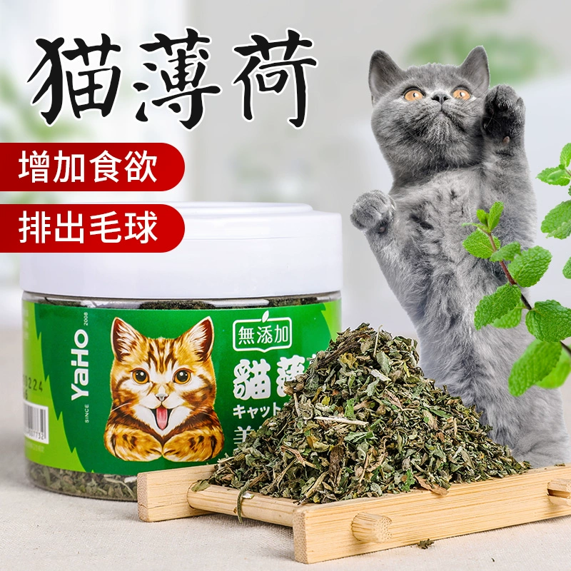 Bột catnip đỏ ròng nguyên lá Bohe tẩy lông bóng lau miệng mèo cỏ lông mèo ăn vặt - Đồ ăn nhẹ cho mèo
