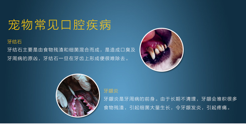 Wei Pet Зубная паста_15.jpg