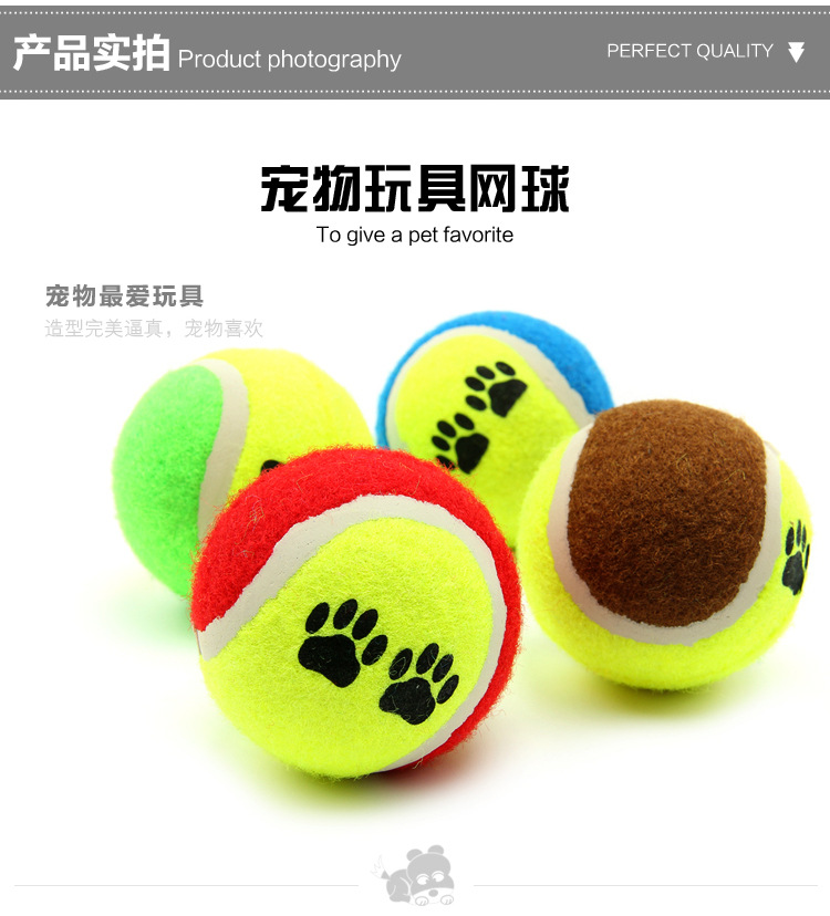 Chó đồ chơi bóng cắn lông vàng Teddy Samoyed mol mol đồ chơi con chó con đồ chơi tennis đồ dùng cho mèo