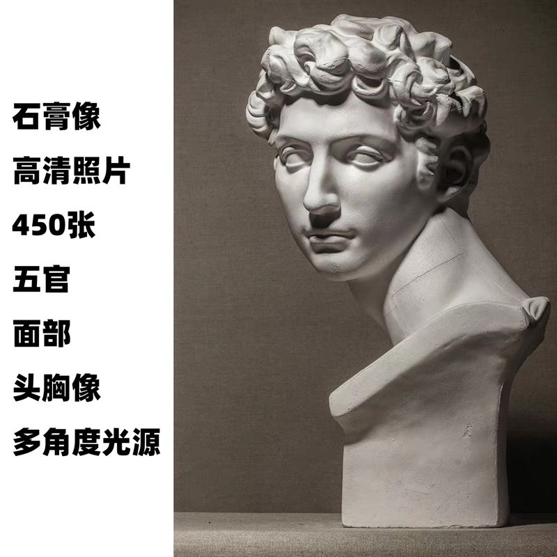 Electronic Version of Plaster Statue Material: David, Marsius, Medici Head Portrait, Facial Features, Facial Sculpture, Sketch Drawing Reference Photo