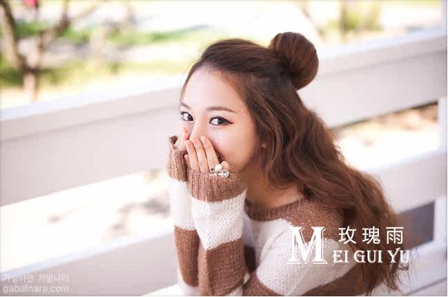 Extension cheveux - Chignon - Ref 236905 Image 9