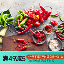 Hongyue cute acridine vegetable growing beef horn pepper red pepper color sweet pepper ChaoTianjiao millet Devil pepper pepper and other seeds