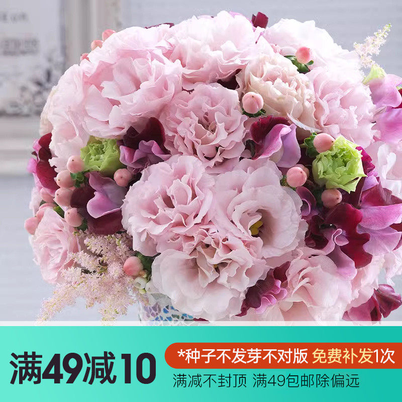 The Hongyue Cute Flower's Balloon Flower Seed Yard planted with family potted plants can serve as a cut flower spring autumn sowing flower-Taobao