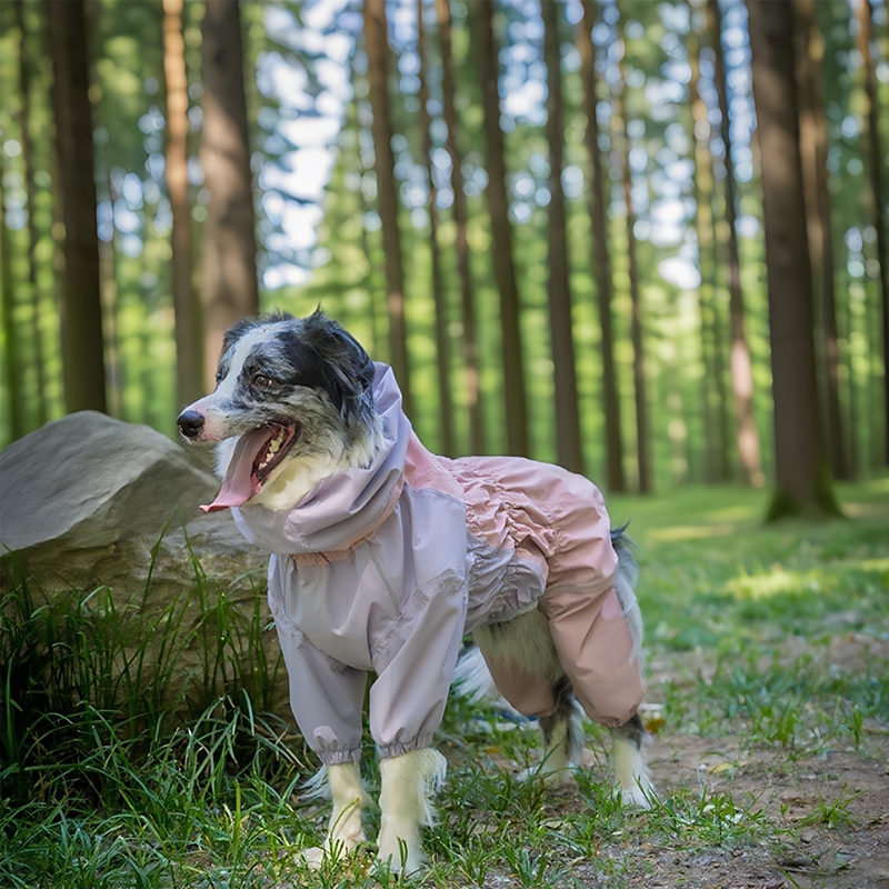Pet Dog Raincoat for Medium and Large Dogs, Suitable for Border Collies and Shiba Inus, Outdoor Jacket with Full Coverage, Hooded, Waterproof, and Adjustable