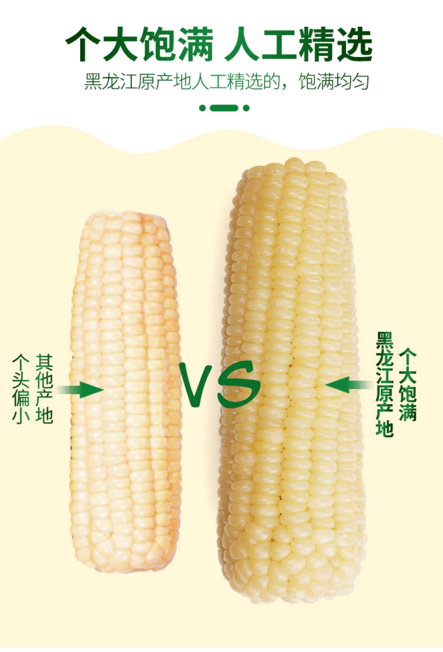 5斤东北白糯玉米新鲜摘粘甜苞米真空10棒