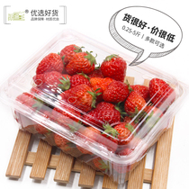 Disposable fruit box one pound with hole strawberry box Transparent plastic with cover fruit shop special packing box
