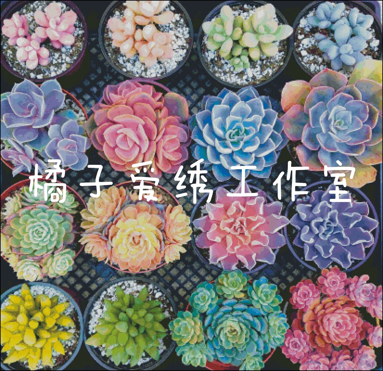 ◇Tangerine love embroidery ◇Exclusive custom DMC self-matching cross stitch kit Story series - gorgeous succulent