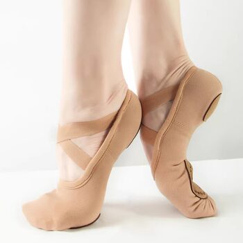 Danshige Ballet Dance Shoes New Elastic Cloth Soft-Soled Shoes Wear-Resistant Adult and Kidsren's Practice Test Shoes Cat Claw Shoes