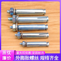Galvanized expansion screw bolt expansion metal screw M6 M8 M10 M14 M16 M18