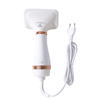 Pet Hair Dryer Pull Hair Integrated Blow Hair Medium Canine Hair Bath Deity Robot Speed Dry Dog Fel Special Hair Dryer