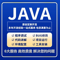 java. spring boot. vue 程序定制 接口二次开发 bug远程调试