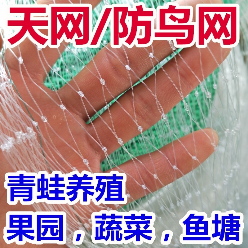 Anti-bird net sky net nylon net frog breeding anti-escape net bullfrog seine fish pond pond loach frog food table net