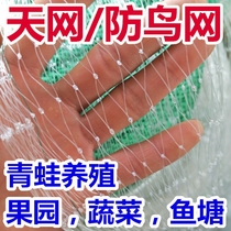 Bird-proof nets Skynet nylon mesh frogs breeding anti-escape nets Bullfrog Enclosure Nets Fish Pond Pond Mud Loach Frog Food