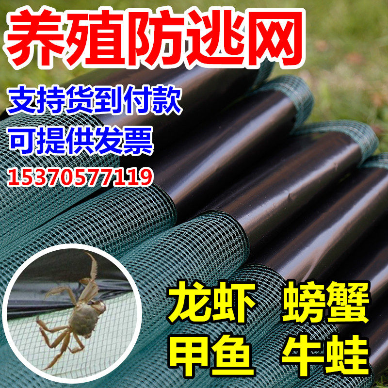 Crawfish Anti-Escape Nets Breeding Enclosure Nets Frog Crab Beetle Bullfrog Shrimp Pond Fish Pond Box Mesh Plastic Raised Shrimp Special