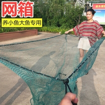 Nylon Large Mesh Box Breeding Net Special Reservoir Fish Farming Net Phase Small Fish Nets Fishing Nets Moratorium Big Fish Fry Deposit Fish Stock