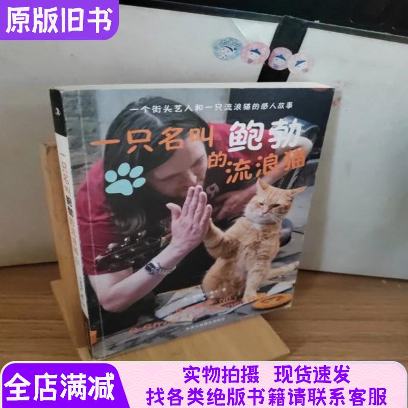 A Stray Cat Named Bob A Stray Cat Named Bob