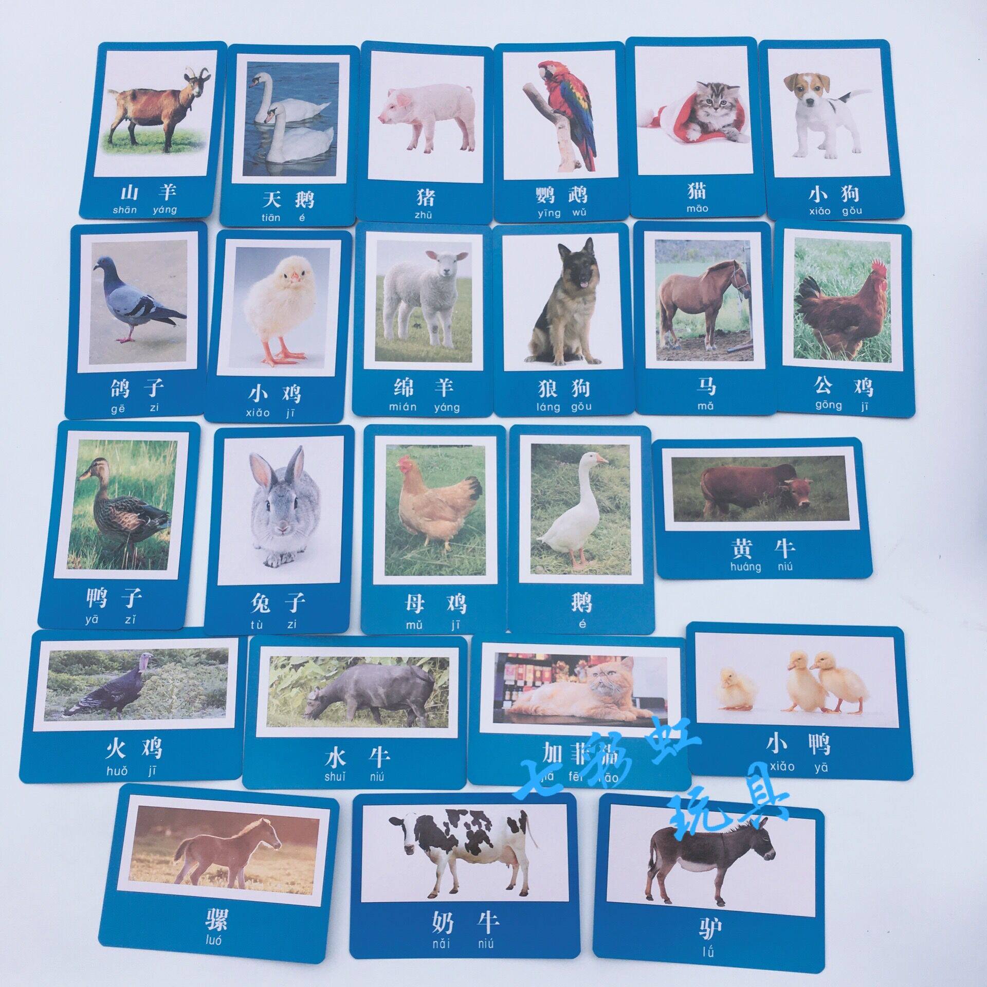 Promotion Poultry Animals pictures Children early education Cognitive Cards Common Livestock Cards Kindergarten of Puzzle Aids Toys