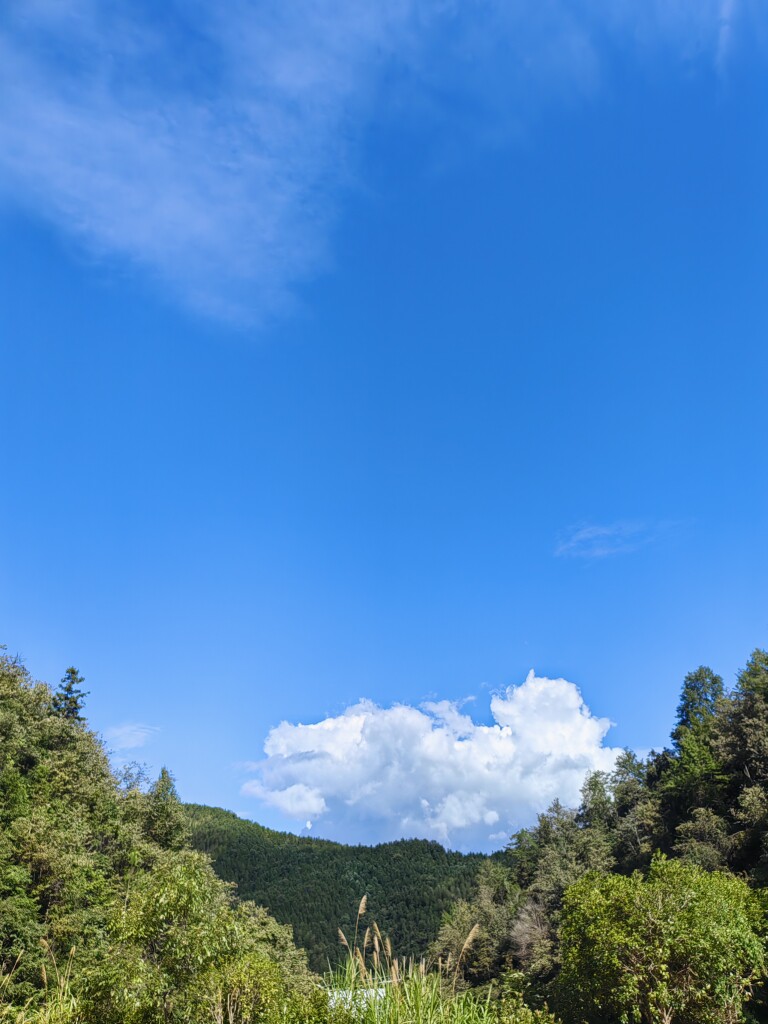 敏敏健康运动生活馆
