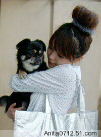 Extension cheveux - Chignon - Ref 236759 Image 46