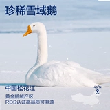 网易严选 Китайский пуховик с большим гусиным пухом, мужская рабочая одежда для экстремальных холодов, куртка на гусином пуху, трехзащитная зима 2024, зимняя пара, женская модель