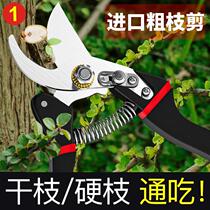 Japanese original imported pruning shears fruit tree shears powerful flower and tree garden large thick branch scissors gardening shears