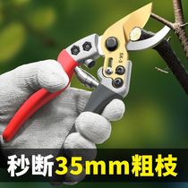 Japan imported pruning shears gardening scissors tree branch garden pruning fruit tree pruning flower pruning manual scissors