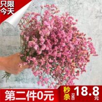Natural Forget-me-not fresh flowers Dried flowers eternal life bouquet Yunnan low-cost bulk dried branches mixed living room floral art