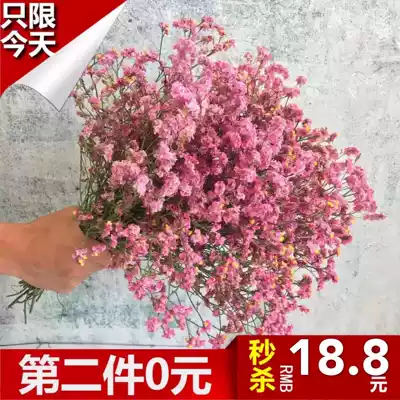 Natural forget-me-not fresh flowers dried flowers immortal bouquet Yunnan low-cost bulk dried branches mixed living room floral art