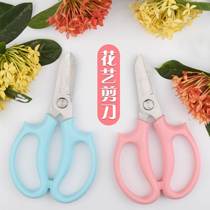 Floral gardening scissors household wide-head flower shears flower path shears flower branch shears branch pruning flower pruning labor-saving tools