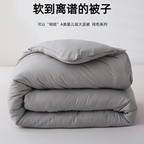 Class A raw cotton soy fiber quilt spring and autumn quilt thickened winter quilt student quilt core four seasons quilt air conditioning gift quilt