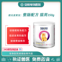 Cat Stomach Conditioning Taiwan Development Treasure kitten goes to the new home to condition the stomach and cure loose stools