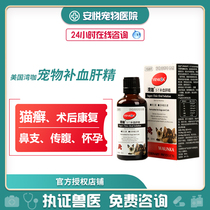 Anyue pet doctor American bay coffee blood enriching liver essence cat moss postpartum recovery cats and dogs liver protection medicine detoxification