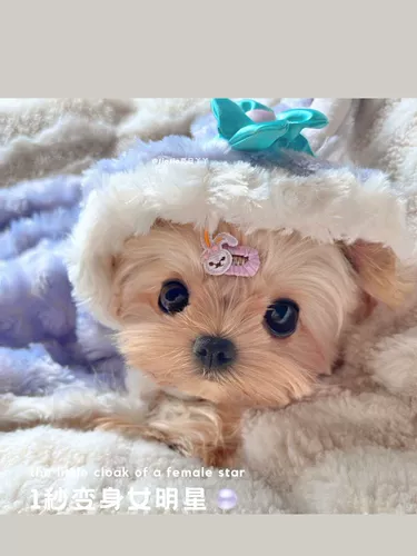 Плащ, флисовое одеяло