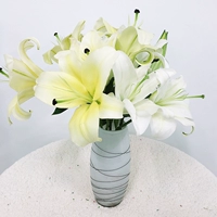 15 Лили желтого и белого смешивания+бесплатный раствор для питания