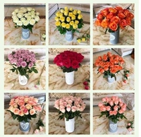 8 филиалов+отправить 2 ветви анти -лосных роз розы для выпадения волос+отправка травы